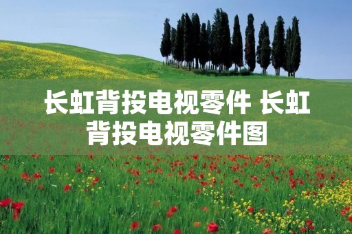 长虹背投电视零件 长虹背投电视零件图 长虹背投电视零件 长虹背投电视零件图