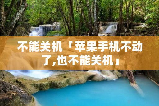 不能关机「苹果手机不动了,也不能关机」