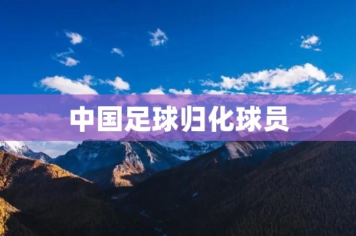 中国足球归化球员:为国足注入新鲜血液 中国足球归化球员:为国足注入新鲜血液