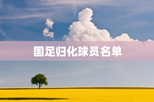 国足归化球员名单：实力强化与争议并存