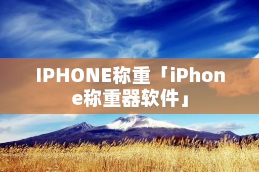 IPHONE称重「iPhone称重器软件」