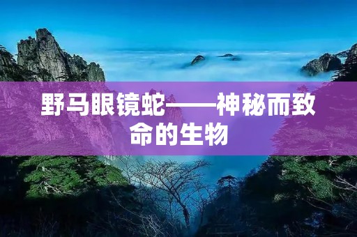 野马眼镜蛇——神秘而致命的生物