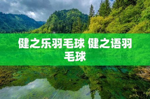 健之乐羽毛球 健之语羽毛球