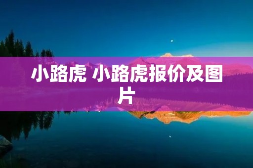 小路虎 小路虎报价及图片