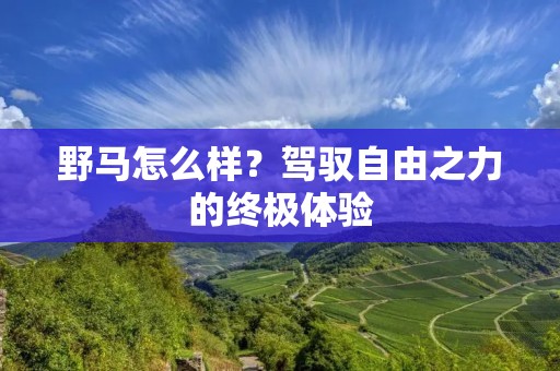 野马怎么样？驾驭自由之力的终极体验