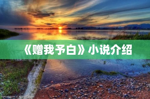 《赠我予白》小说介绍