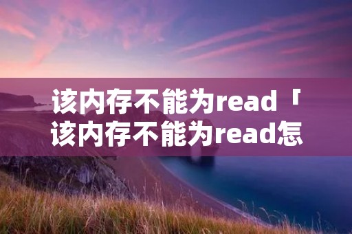 该内存不能为read「该内存不能为read怎么解决?」