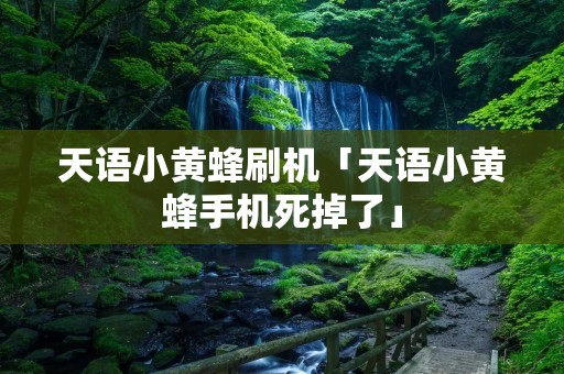 天语小黄蜂刷机「天语小黄蜂手机死掉了」