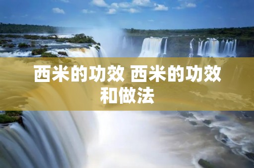 西米的功效 西米的功效和做法 西米的功效 西米的功效和做法