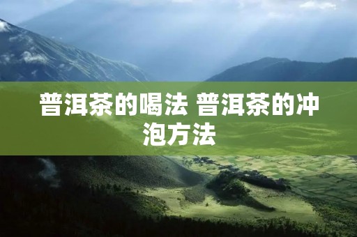 普洱茶的喝法 普洱茶的冲泡方法