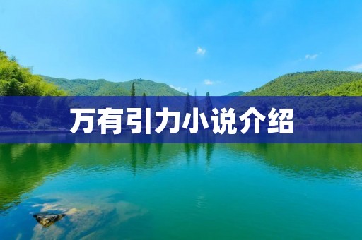 万有引力小说介绍