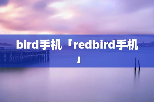 bird手机「redbird手机」 bird手机「redbird手机」