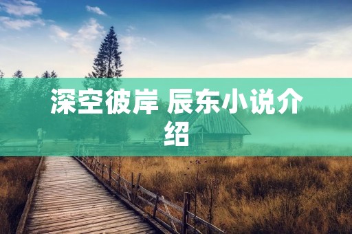 深空彼岸 辰东小说介绍
