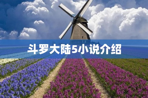 斗罗大陆5小说介绍