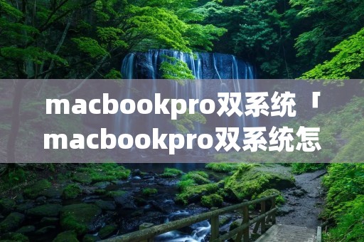 macbookpro双系统「macbookpro双系统怎么删除」