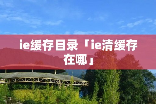 ie缓存目录「ie清缓存在哪」