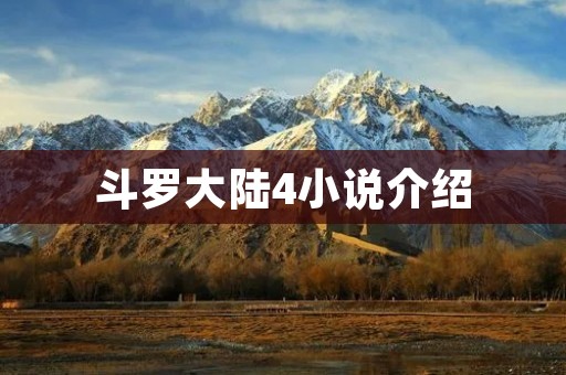 斗罗大陆4小说介绍