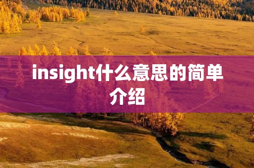 insight什么意思的简单介绍 insight什么意思的简单介绍