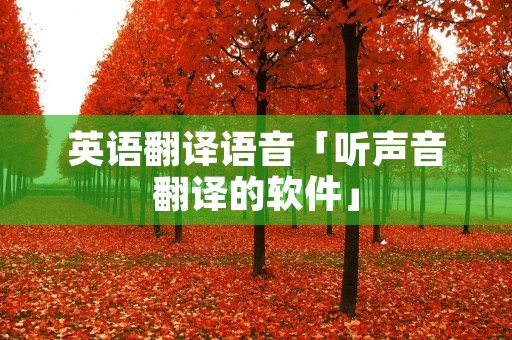 英语翻译语音「听声音翻译的软件」