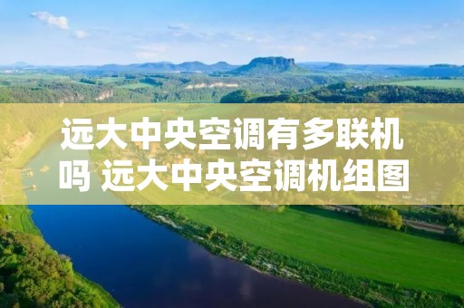 远大中央空调有多联机吗 远大中央空调机组图片 远大中央空调有多联机吗 远大中央空调机组图片