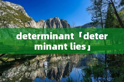 determinant「determinant lies」