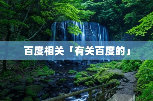 百度相关「有关百度的」 百度相关「有关百度的」
