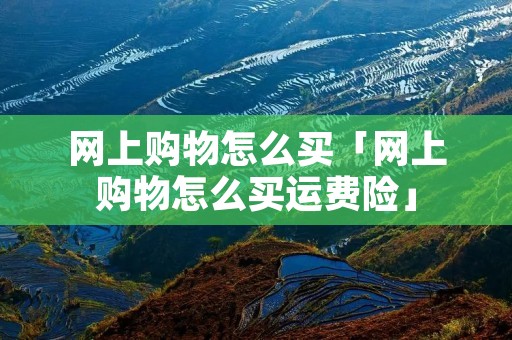 网上购物怎么买「网上购物怎么买运费险」 网上购物怎么买「网上购物怎么买运费险」