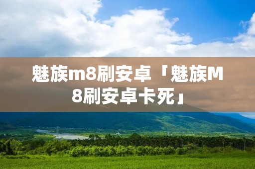 魅族m8刷安卓「魅族M8刷安卓卡死」