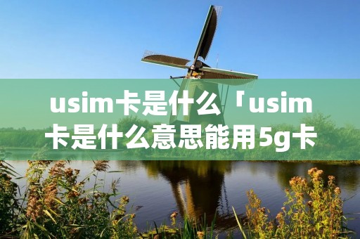 usim卡是什么「usim卡是什么意思能用5g卡吗」