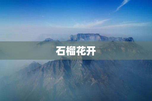 石榴花开：绽放在岁月的璀璨中