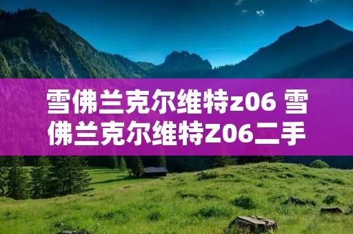 雪佛兰克尔维特z06 雪佛兰克尔维特Z06二手车