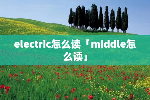electric怎么读「middle怎么读」