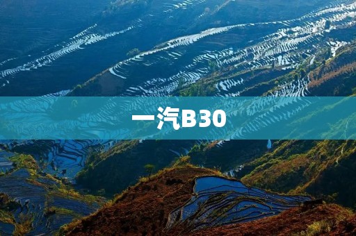 一汽B30：领跑时代的智能座驾