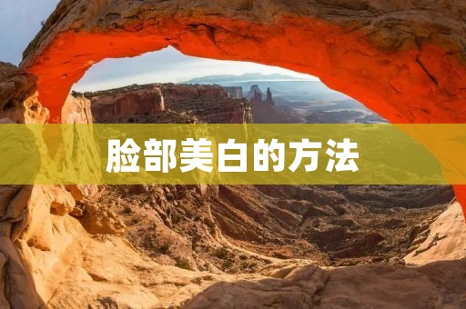 脸部美白的方法：告别暗黄肌肤，拥有明亮光滑肌肤的秘诀