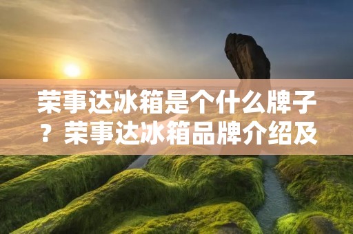 荣事达冰箱是个什么牌子?荣事达冰箱品牌介绍及产品特点 荣事达冰箱是个什么牌子?荣事达冰箱品牌介绍及产品特点