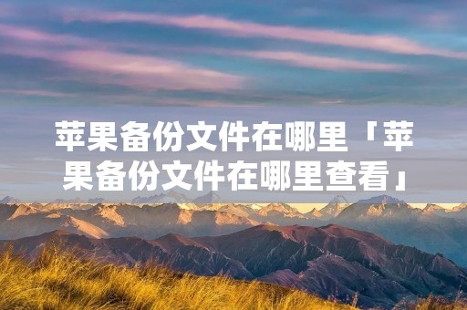 苹果备份文件在哪里「苹果备份文件在哪里查看」