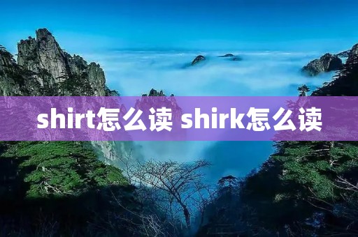 shirt怎么读 shirk怎么读