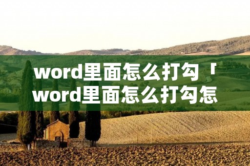 word里面怎么打勾「word里面怎么打勾怎么在方框」
