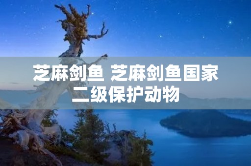 芝麻剑鱼 芝麻剑鱼国家二级保护动物