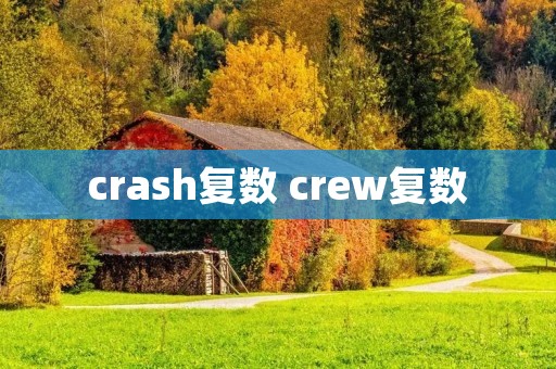 crash复数 crew复数