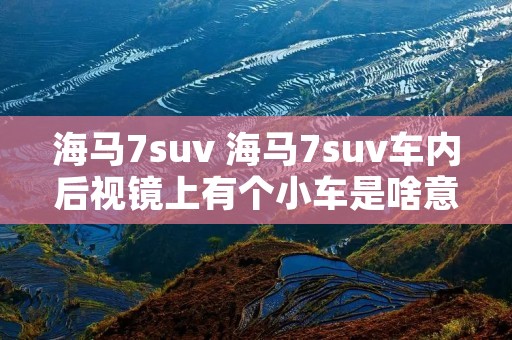 海马7suv 海马7suv车内后视镜上有个小车是啥意思