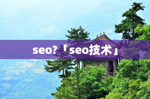 seo?「seo技术」