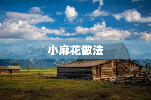 小麻花做法:传统美食的独特魅力 小麻花做法:传统美食的独特魅力