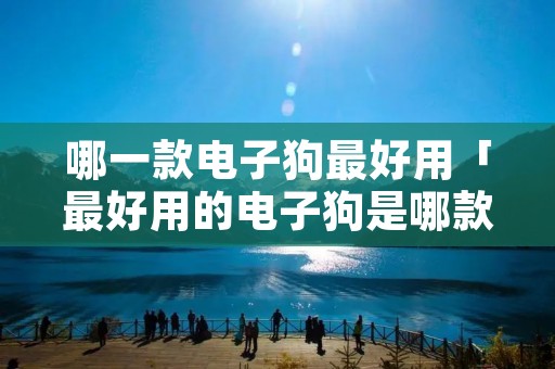 哪一款电子狗最好用「最好用的电子狗是哪款」 哪一款电子狗最好用「最好用的电子狗是哪款」