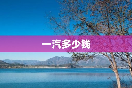 一汽多少钱：详细揭秘一汽汽车价格走势及市场表现