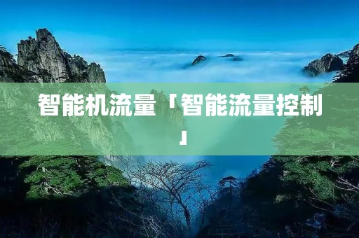 智能机流量「智能流量控制」