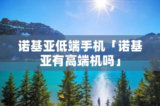 诺基亚低端手机「诺基亚有高端机吗」
