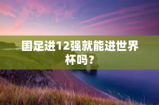 国足进12强就能进世界杯吗? 国足进12强就能进世界杯吗?
