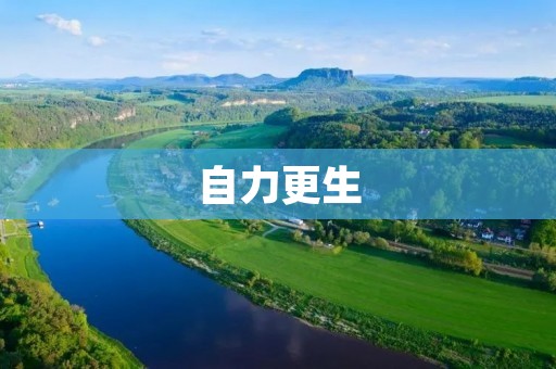 自力更生:重塑自我,创造未来