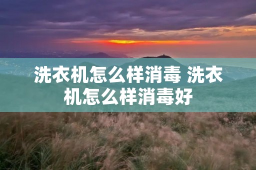 洗衣机怎么样消毒 洗衣机怎么样消毒好